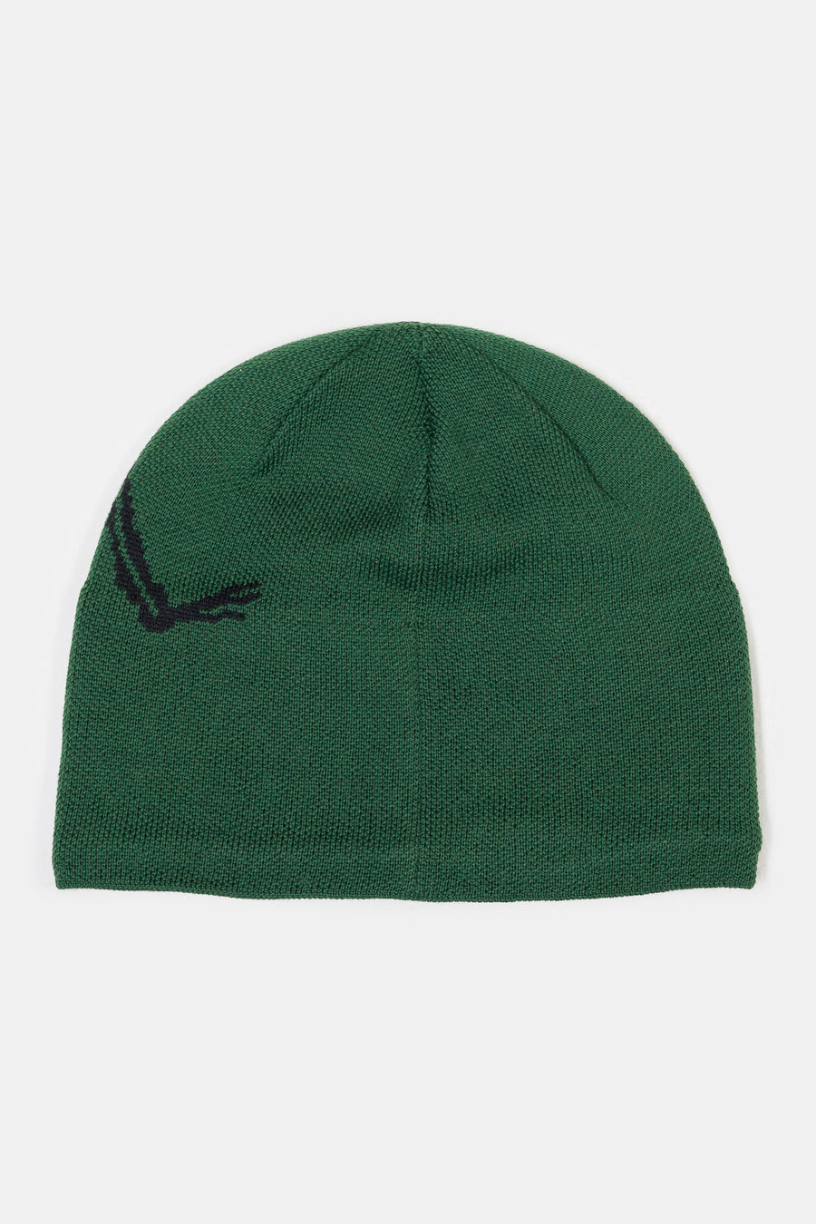 Arc'teryx Bird Head Toque in Eden/Black - Notre